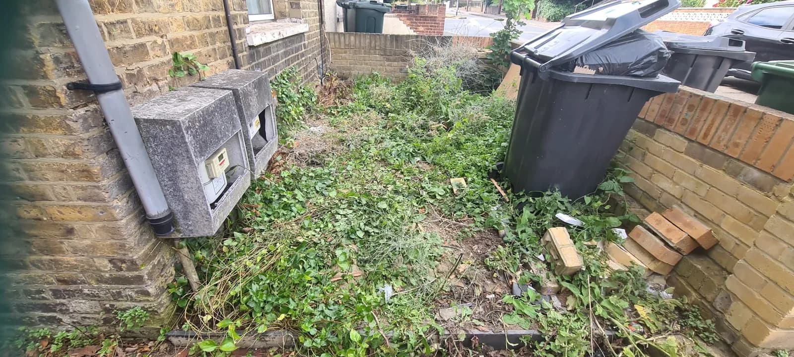 An overgrown front garden in Northfleet covered in weeds and brambles before Andy cleared it