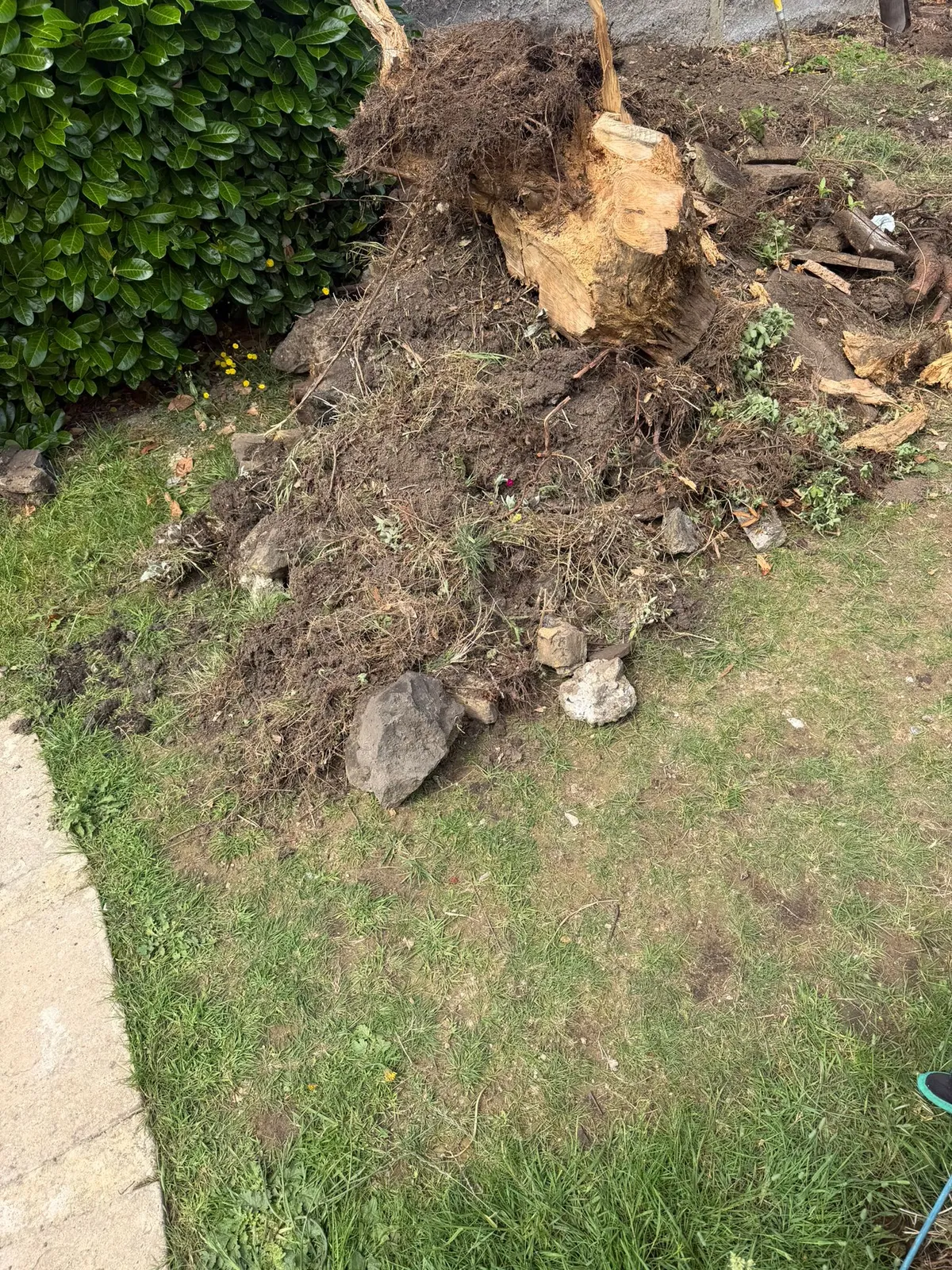 A back garden in Gravesend with an old tree stump, a pile of roots, soil and rocks before Andy removed it