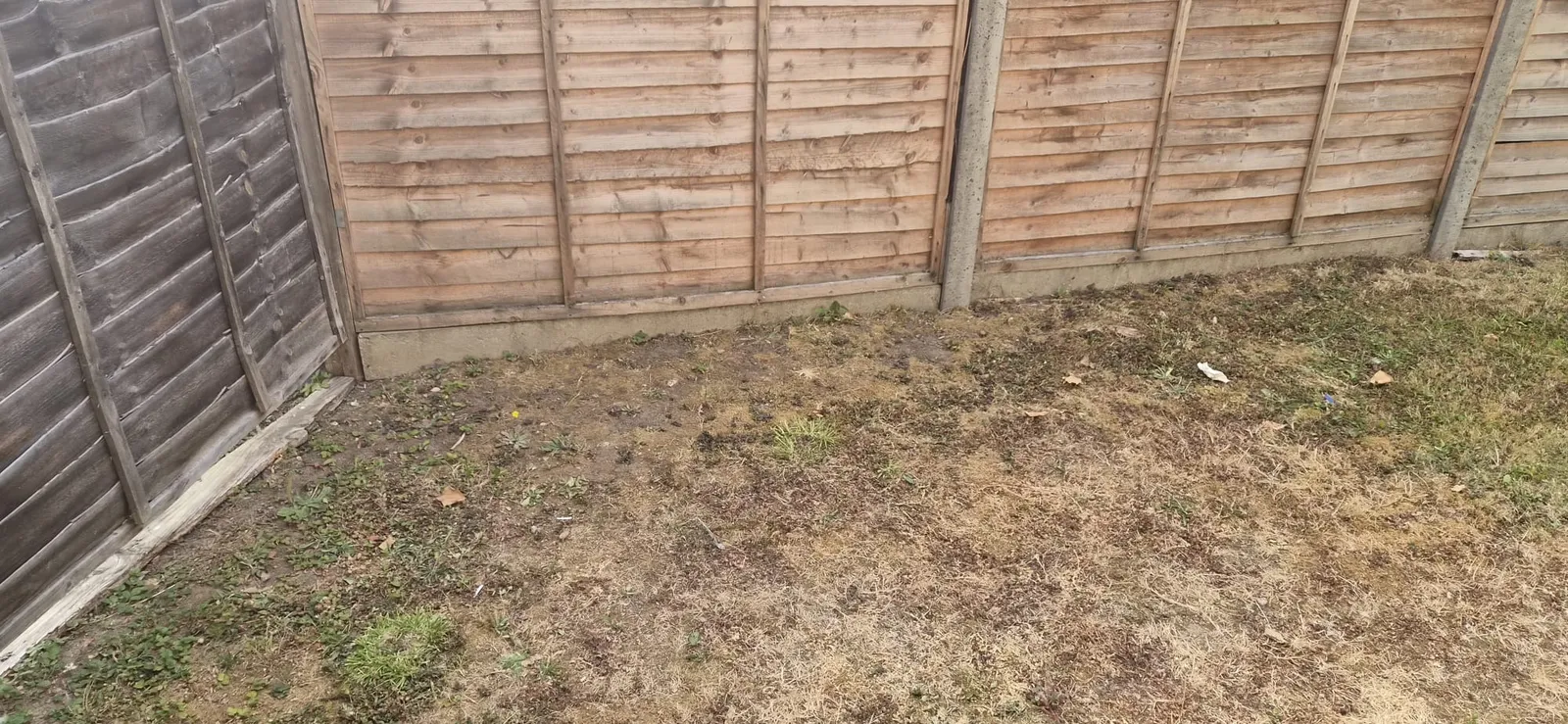 The same fence line in Gravesend with the lawn completely cleared of boxes and bags