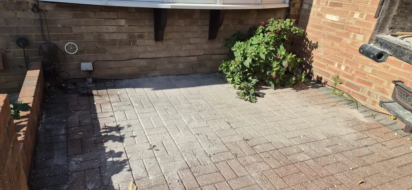 The same Gravesend patio completely cleared of rubble, pink flowers untouched by the wall